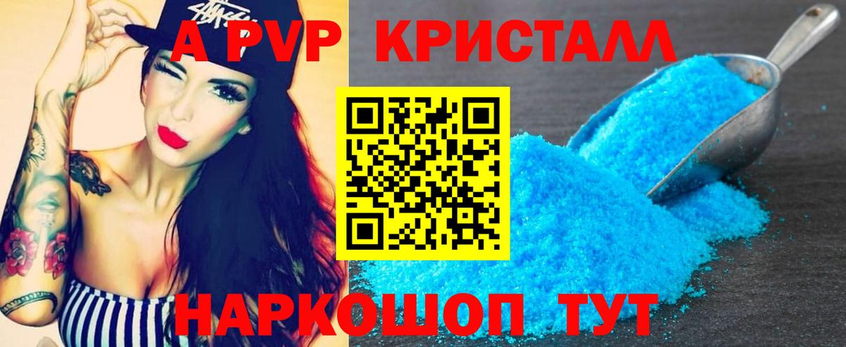 Alfa_PVP СК Кингисепп