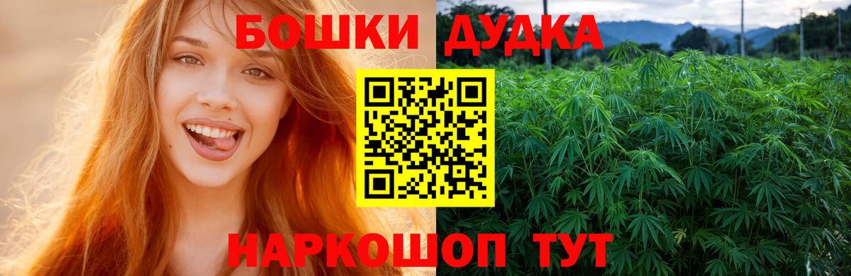 Канабис план Кингисепп